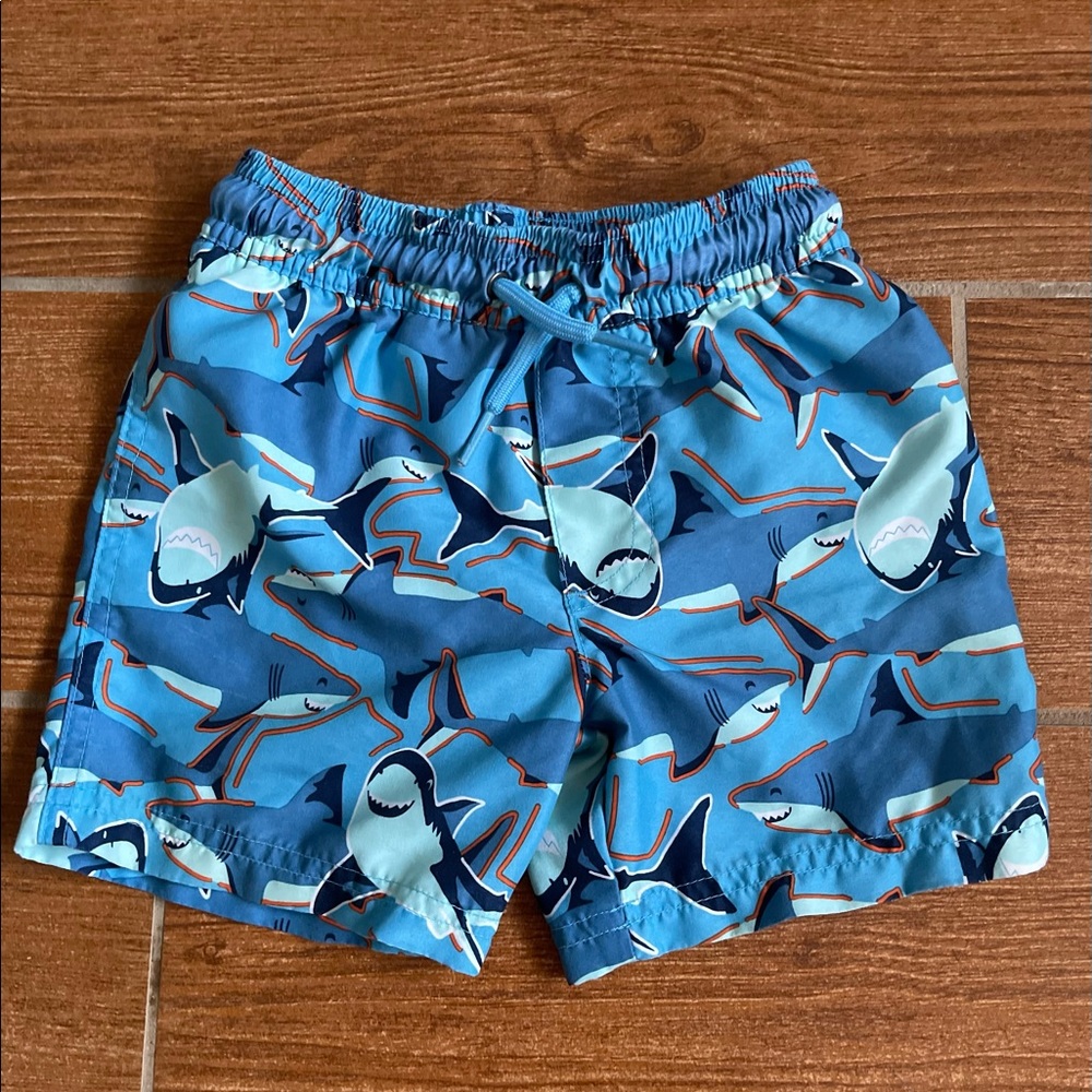 2T Swim Trunks